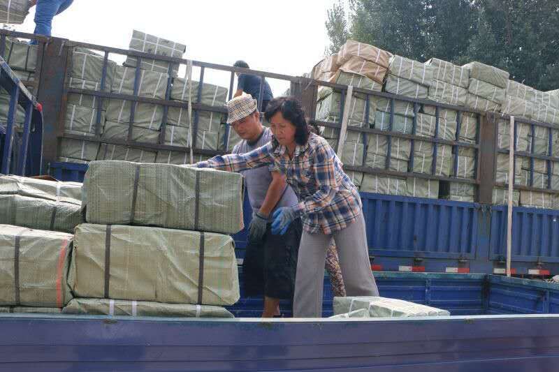 j9九游会集团有限公司内容图片展示